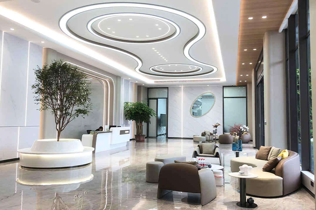 333体育直播·美妆领航者